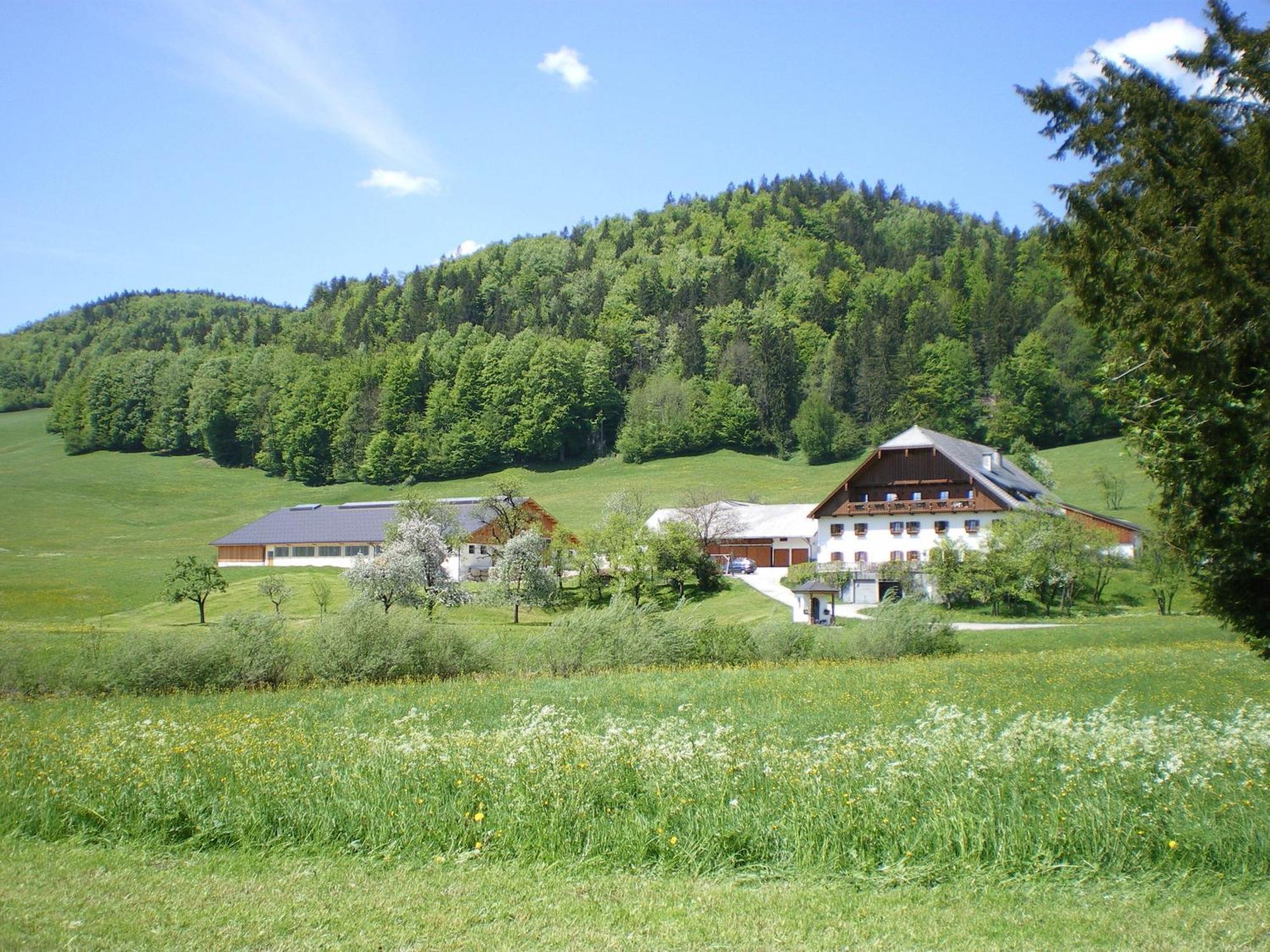 Russbachbauer Villa Sankt Wolfgang im Salzkammergut Bagian luar foto