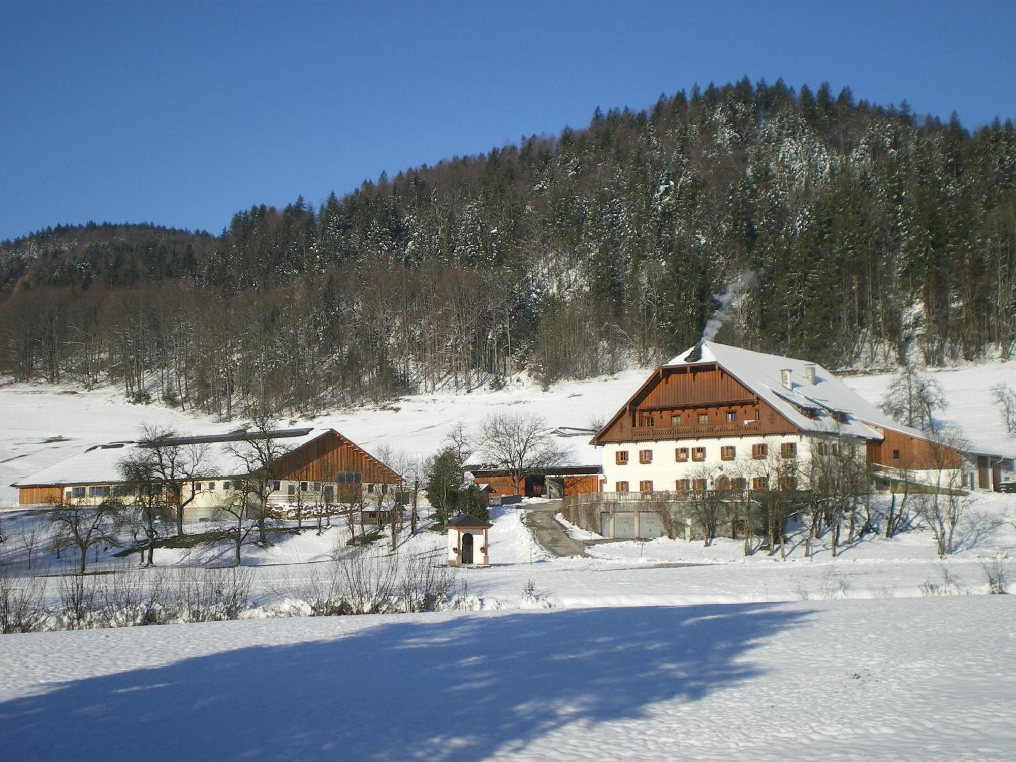 Russbachbauer Villa Sankt Wolfgang im Salzkammergut Bagian luar foto