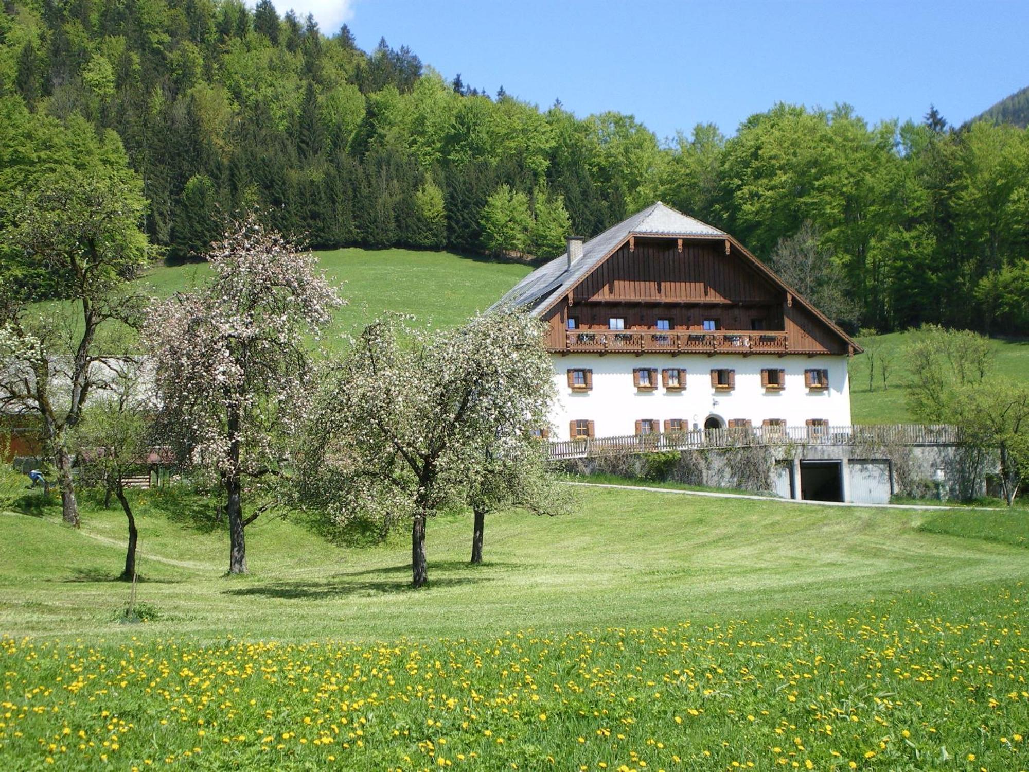 Russbachbauer Villa Sankt Wolfgang im Salzkammergut Bagian luar foto